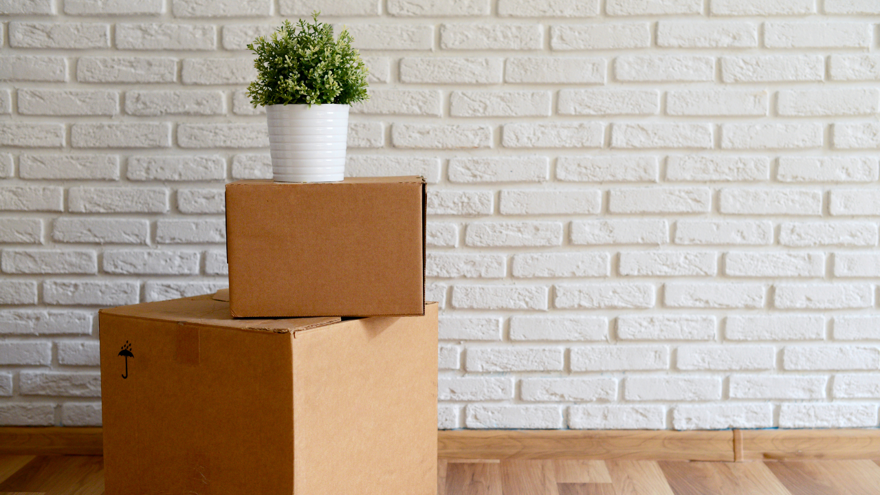 Mudanzas pequeñas sin complicaciones ni tiempos muertos